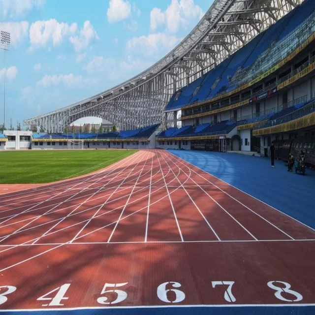 汪顺全国赛夺冠再掀热潮，中国泳坛再迎高光时刻